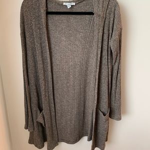 American Eagle Cardigan